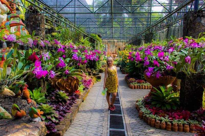 Парк Нонг Нуч в Паттайе Парк орхидей