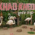 Зоопарки Паттайи Кхао Кхео