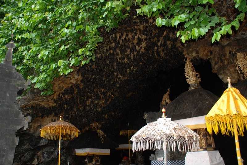 Гоа Лавах Бали пещера летучих мышей