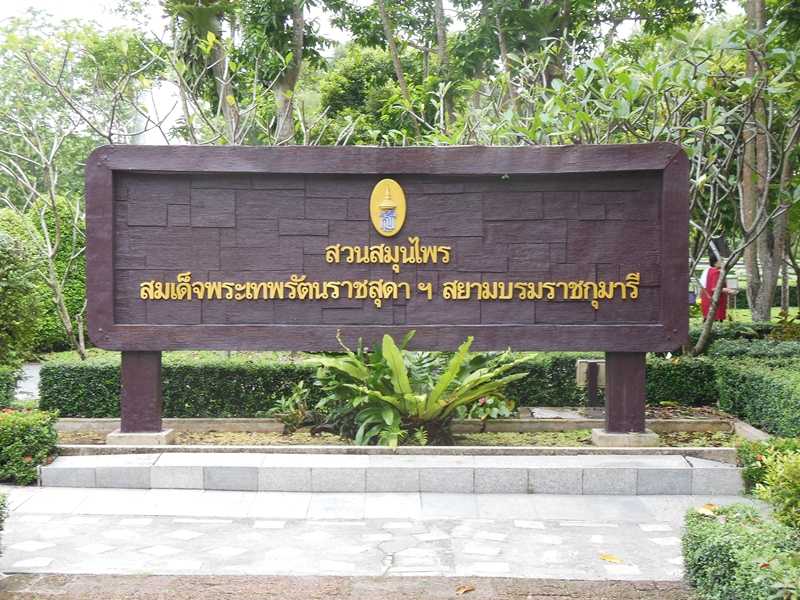 Ботанический сад Maha Chakri1