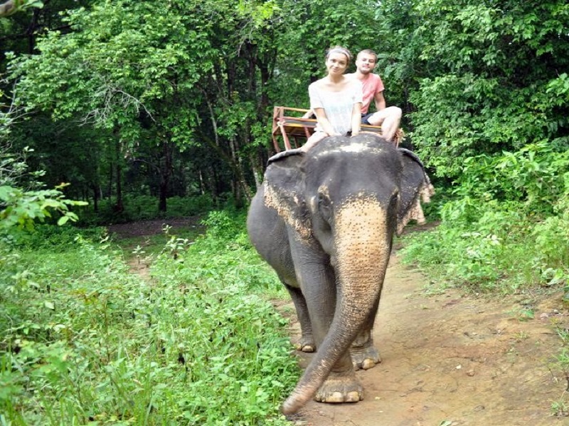 экскурсия на слоне